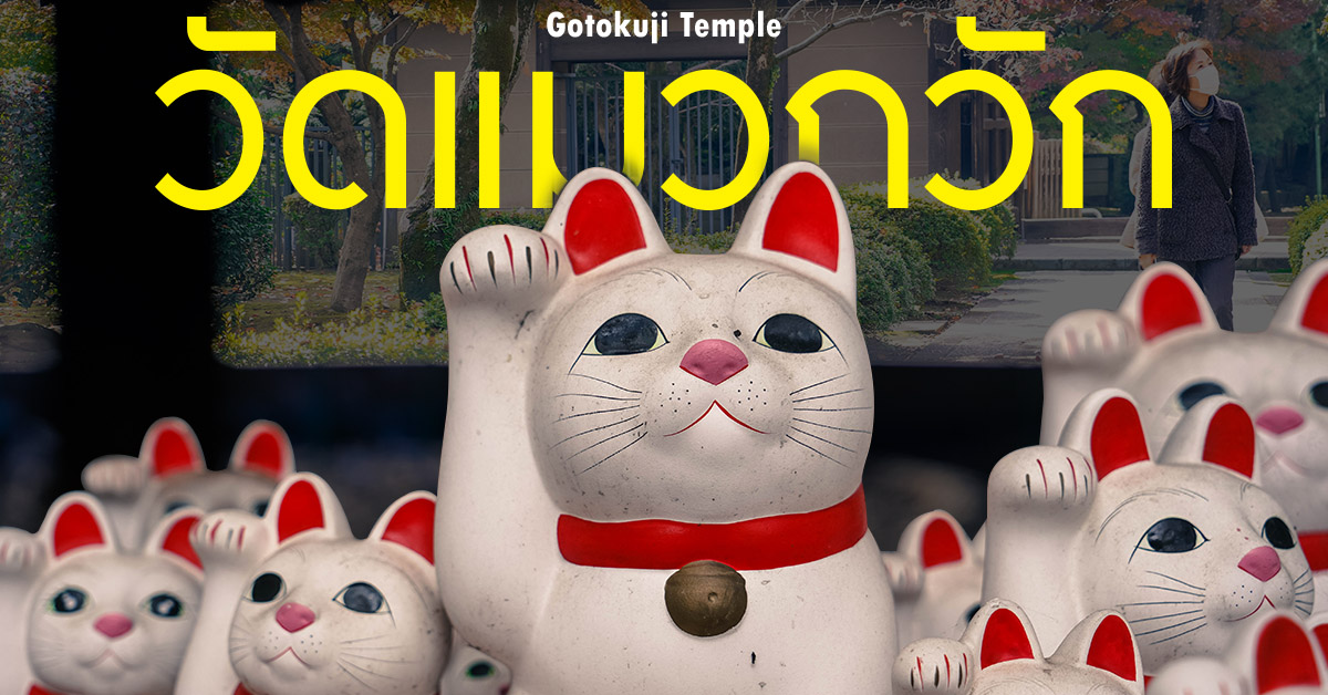 แมวกวัก หรือ มาเนคิเนโกะ (Maneki-neko) เป็นสิ่งที่อยู่กับคน ญี่ปุ่น มาแต่โบราณ โดยเชื่อว่าจะช่วยเรียกความโชคดี ท่าทางดูน่ารักของแมวที่ยกมือข้างหนึ่งขึ้นมากวักเรียกโชค ทำให้ได้รับความนิยมในหมู่ชาวต่างชาติอีกด้วย