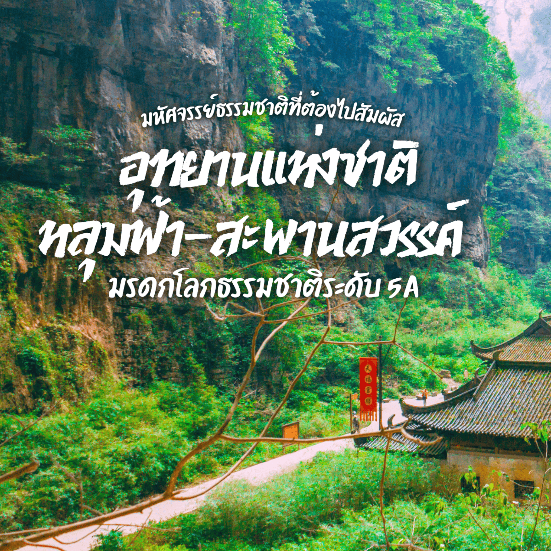 อุทยานแห่งชาติหลุมฟ้า 3 สะพานสวรรค์ เป็นมรดกโลก 5A ที่ไม่ควรพลาด มอบประสบการณ์ท้าทายพร้อมวิวสวยงามและทะเลหมอกที่น่าหลงใหลในวันที่อากาศแจ่มใส!